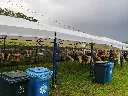 IMG20260517201723.webp