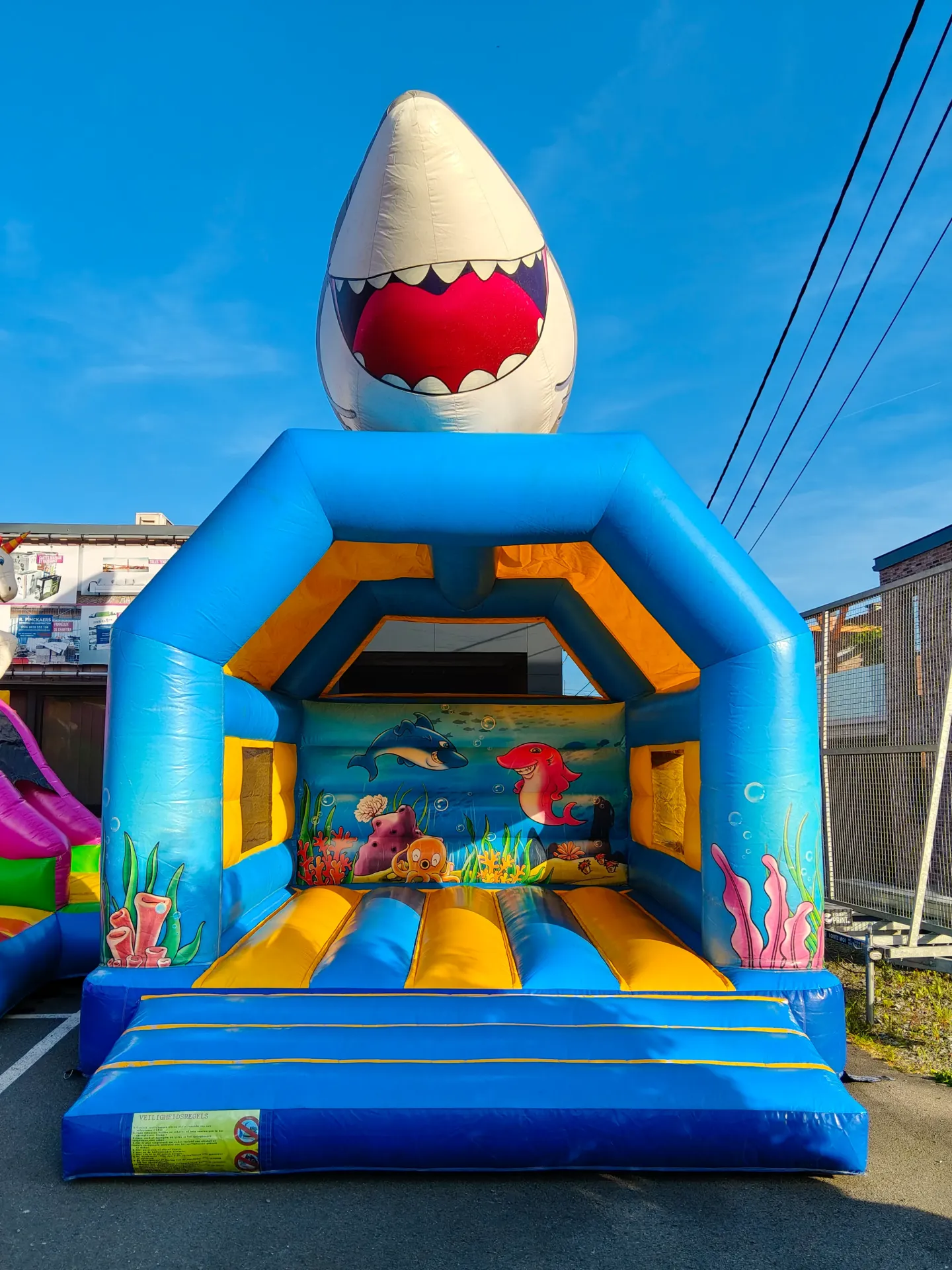 châteaux gonflable : Requin